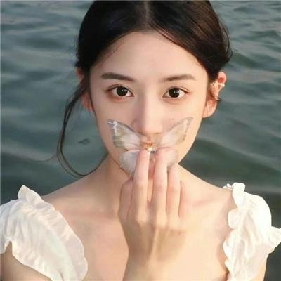 挎斗摩托车里的狗